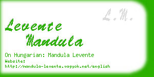 levente mandula business card